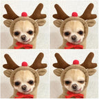 Warm Dog Winter Clothes Cute Fruit Dog Coat Hoodies Fleece Pet Dogs Costume - Image 3