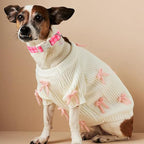 Girl Dog Collar for Giant Large Dogs - Image 5