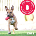 KONG - Puppy Toy Natural Teething Rubber - Fun to Chew, Chase and Fetch - - Image 8