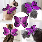 Pet Cat Bat Wings for Halloween Party Decoration, Puppy Collar Leads Cosplay - Image 4