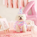 Dog Birthday Bandana with Hat and Dress Girl Set Puppy Birthday Party Supplies - Image 4