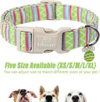 Easter Dog Collar for Large Dogs - Image 6