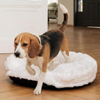 Dog Bed Couch Sofa for Small Medium Dogs and Cats Round Plush Orthopedic Sofa - Image 8