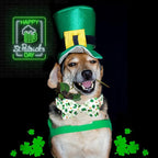 Lionheart Glory St. Patrick's Day Dog Collar - Image 5