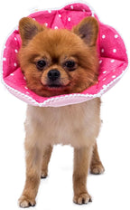 Adjustable Dog Cat Cone, Soft Recovery Cat Cone Collar, Dog Protective Collar by WZPET