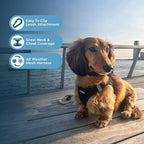 Best Pet Supplies - Image 3