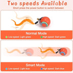 BABORUI Interactive Cat Toy Ball - Image 4