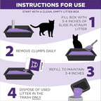 ARM & Hammer Clump & Seal Slide Platinum Multi-Cat Clumping Cat Litter - Image 6