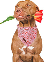 Valentine Dog Bandana - Image 2