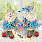 Conure Toys - Image 4
