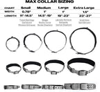 PetiFine Dog Collars for Small Dogs, Neoprene Padded Dog Collar, Reflective - Image 5