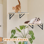 Burlywood Cat Furniture Indoor Set of 2: Wood Shelves - Image 4