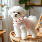 Lucky Ladybug Dog Collar for Puppy Small Dogs - Image 2