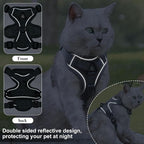 Large Cat Harness and Leash Set - Image 3