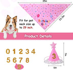 Dog Boy Girl Birthday Party Hat, Dog Birthday Party Supplies, Doggie Birthday - Image 3