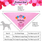 ADOGGYGO Dog Birthday Hat Bandana Girl - Image 5