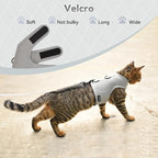 Kitty Harness and Leash for Walking Escape Proof Breathable Mesh Fabric - Image 5