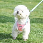 AIITLE Small Harness for Puppy - Image 3