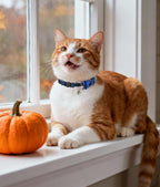 Joytale Upgraded Cat Collar - Image 5