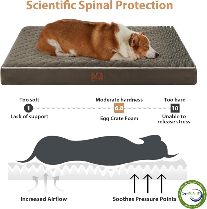 WNPETHOME Orthopedic XXL Dog Beds Large Sized Dog, Waterproof Extra Large Dogs - Image 3
