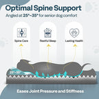 Orthopedic Dog Bed for Extra Large Dogs - Image 4