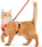Cat Harness and Leash for Walking Escape Proof Soft Adjustable Cat Leash by Unknown