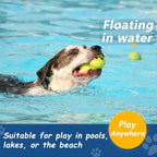 Squeaky Tennis Balls for Dogs - Image 5