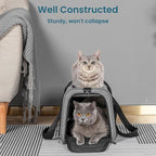 Petsfit Cat Carrier Dog Carriers Airline Approved, 3 Carrying Ways, Lightweight - Image 5