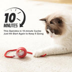 2025 New 2Pack Cat Ball Kitten Toys - Image 5