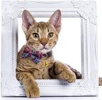 Faygarsle 2 Pack Cotton Designer Breakaway Cats Collar - Image 6