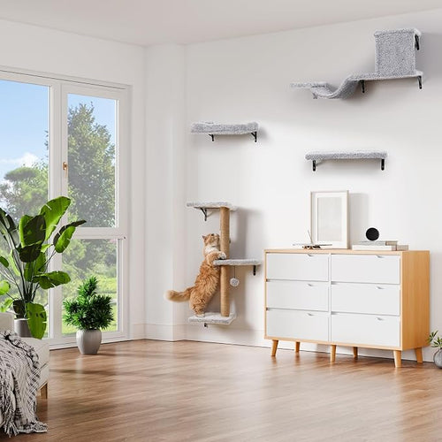 5-in-1 Cat Wall Shelves, Perch & Lounge - Image 2