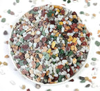 2LB Succulent and Cactus Gravel Pebbles, 1/5 Inch Natural Decorative Polished by YISZM-ForYourNaturalLife