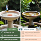 QIANQIAN Bird Bath Copper Disk, Copper Bird Bath Purification Disk - Image 2