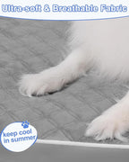 KSIIA Orthopedic Dog Bed Medium Size Dog - Image 2