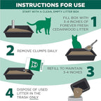 Arm & Hammer Forever Fresh Clumping Cat Litter Cedarwood, Pet Friendly - Image 5