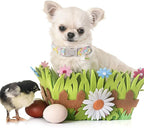 Unique style paws Easter Day Dog Collar Plastic Buckle Collar - Image 4