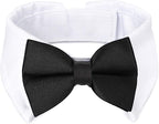 Segarty Dog Tuxedo Collar for Neck Girth 12.6-15.7in, Bow Tie Collar Black by Segarty