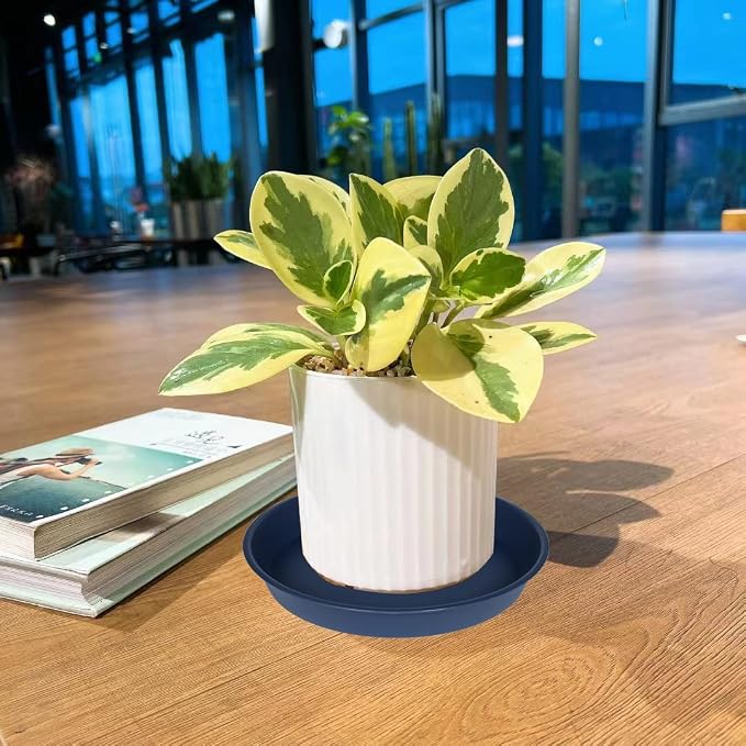 2 Pack of 10 inch Plant Saucer Gray, Heavy Duty Plastic Plant Saucer 10 inch - Image 3
