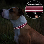 TagME Dog Collar, Adjustable Reflective Nylon Pet Collar - Image 5