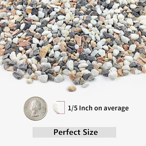 5LBS Succulent and Cactus Gravel Pebbles, 1/5 Inch Natural Decorative Polished - Image 2