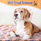 Tatuo 4 Pcs Dog Blanket for Pet Cat Blankets Indoor Puppy Teething Stuff Toys - Image 4