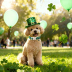 St Patricks Day Dog Collar for Giant Large Dogs - Image 2
