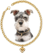 HOWWFALY Dog Collar and Cat Chain Necklace Stainless Steel Adjustable 18K Gold by HOWWFALY