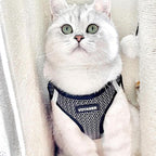 Best Pet Supplies - Image 8