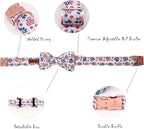 Lionheart American Flag Dog Collar - Image 4