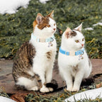 ARING PET 2 Pack Cat Collar-Cute Cotton Cat Collar - Image 4