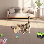 Interactive Cat Toy for Indoor by ITSHINY