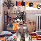 Beirui Cute Small Dog Harness Collar and Leash Set - Image 3