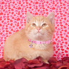 Breakaway Cat Collars with Bell & Cute Pendants, 3 Pack Safety Buckle Kitten - Image 7