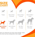 Nylabone Puppy Chew Key Ring Toy, Toys - Image 5